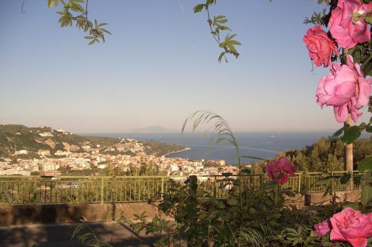 sorrento-walking-tour-in-lemon-garden-w-food-tasting