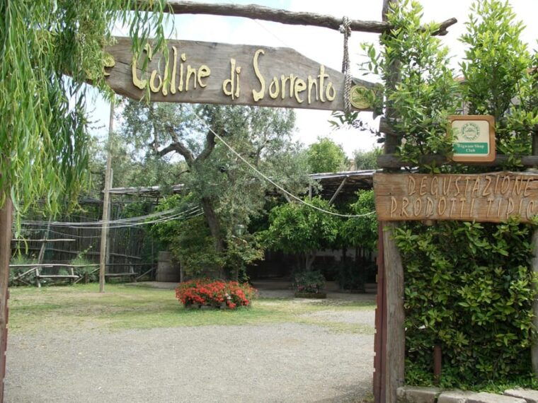 sorrento-walking-tour-in-lemon-garden-w-food-tasting