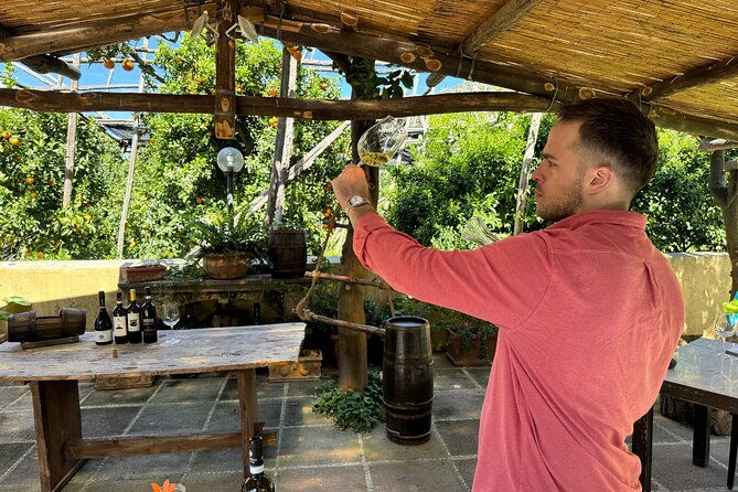 sorrento-wine-tasting-and-food-pairing-experience