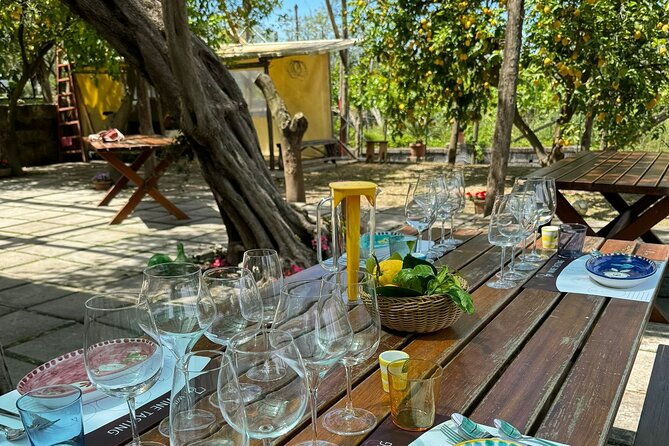 sorrento-wine-tasting-and-food-pairing-experience