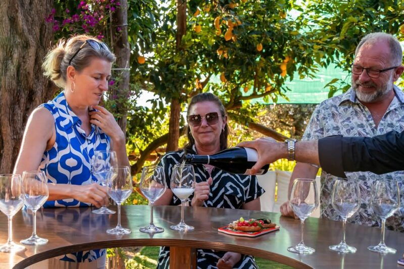 sorrento-wine-tasting-overlooking-the-sea-in-a-lemon-grove