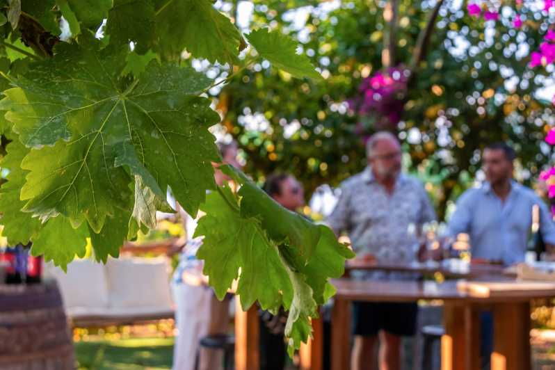 sorrento-wine-tasting-overlooking-the-sea-in-a-lemon-grove