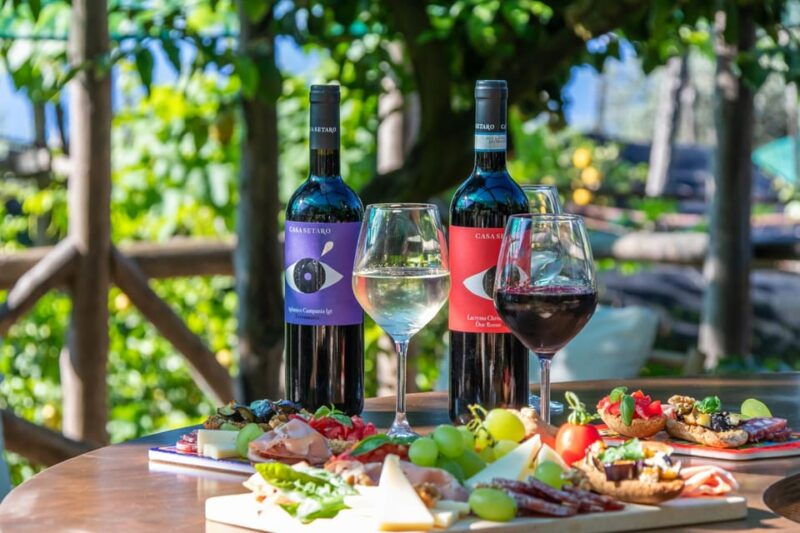 sorrento-wine-tasting-overlooking-the-sea-in-a-lemon-grove