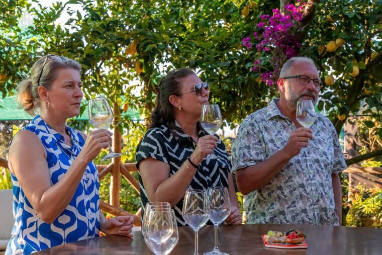 sorrento-wine-tasting-overlooking-the-sea-in-a-lemon-grove