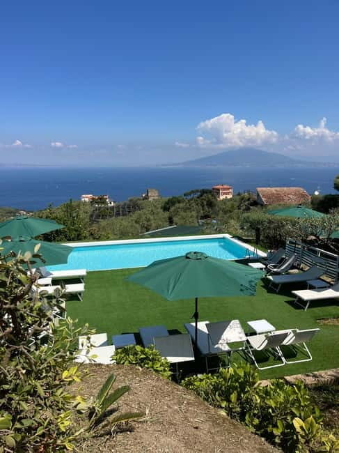 Sorrento:Garden tour of Lemons and Oranges tree - Frequently Asked Questions