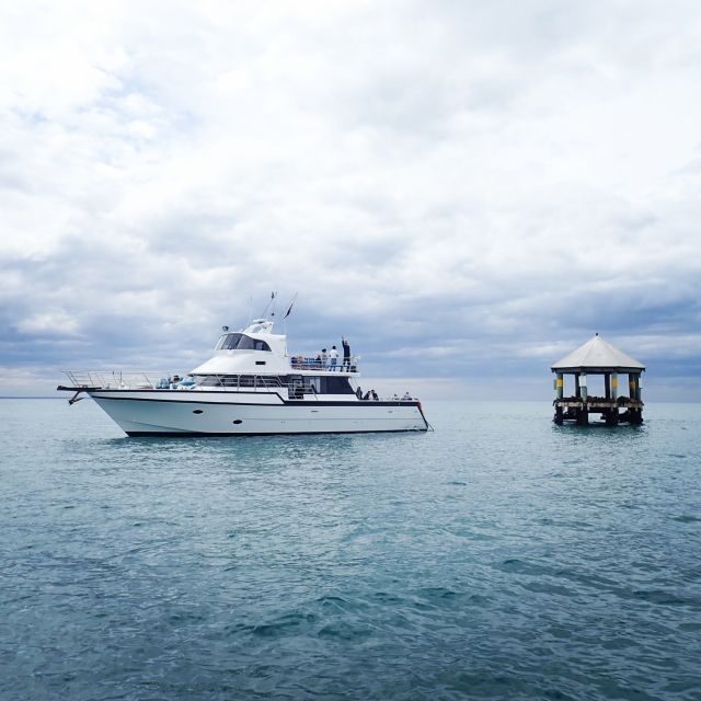Sorrento,Mornington Peninsula: Wildlife & Sightseeing Cruise - What to Expect on the Sorrento to Portsea Wildlife & Sightseeing Cruise