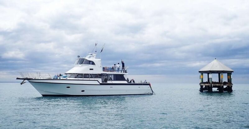 Sorrento,Mornington Peninsula: Wildlife & Sightseeing Cruise - The Experience: A Balance of Expectation and Reality