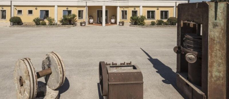 sortino-olive-oil-tasting-with-sicilian-products-and-wine