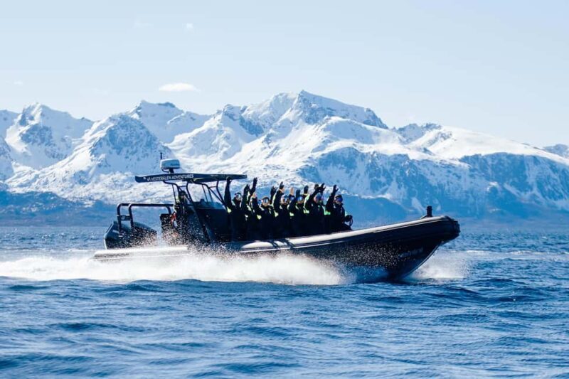 Sortland: Trollfjord RIB Boat Tour - Introduction