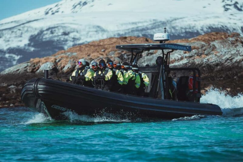 Sortland: Trollfjord RIB Boat Tour - The Scenic Journey Through Raftsundet