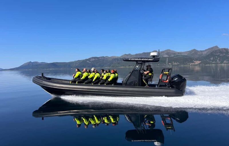 Sortland: Trollfjord RIB Boat Tour - Comfort and Safety During the Ride