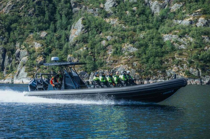 Sortland: Trollfjord RIB Boat Tour - Practical Tips for Travelers