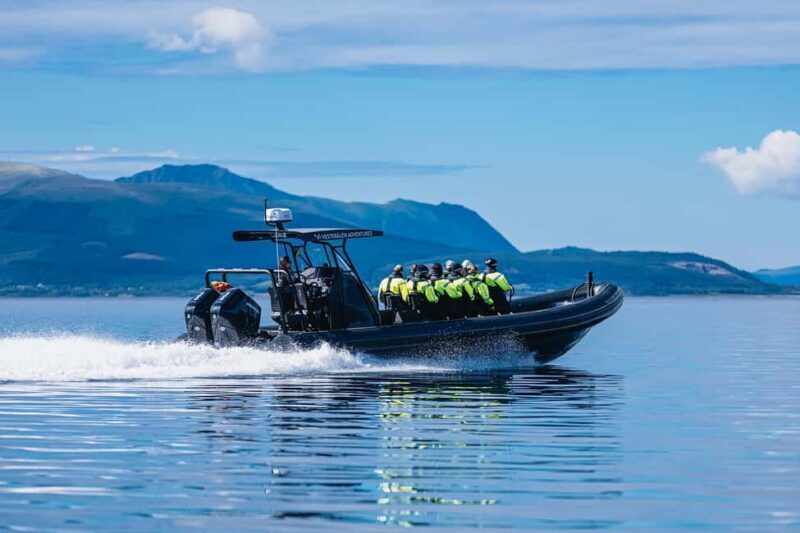 Sortland: Trollfjord RIB Boat Tour - Why Choose This Tour?
