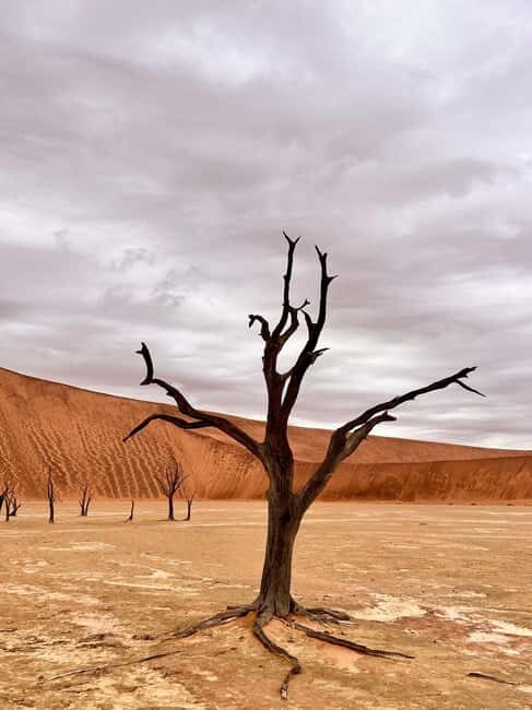 Sossusvlei: Day Trip - Big Daddy Dune — The Desert Giant