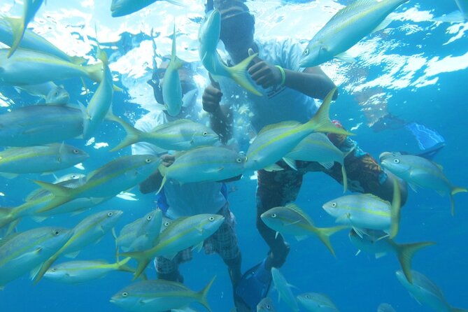 sosua-party-boat-snorkeling-brunch-drinks-snacks-transportation