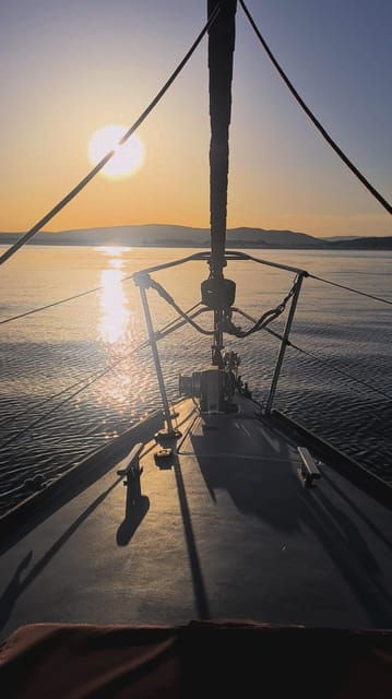 sotogrande-dolphin-watching-boat-trip-with-drink