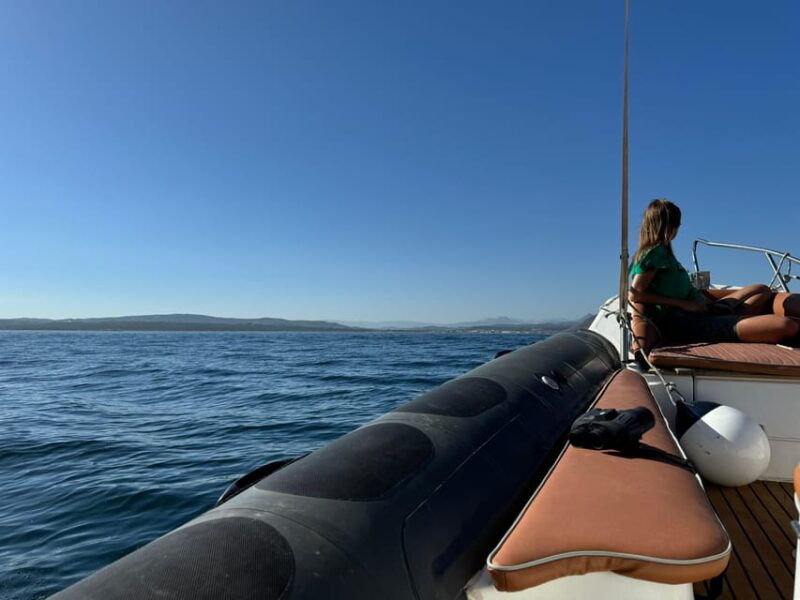 sotogrande-dolphin-watching-experience-with-expert-crew