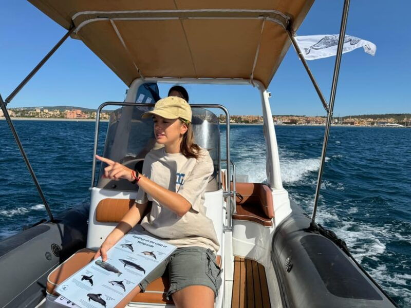 sotogrande-dolphin-watching-experience-with-expert-crew