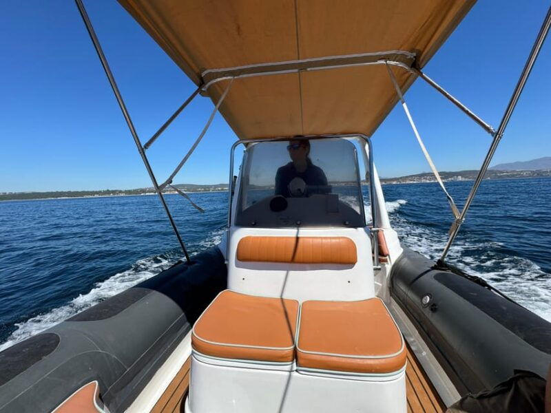 sotogrande-dolphin-watching-experience-with-expert-crew