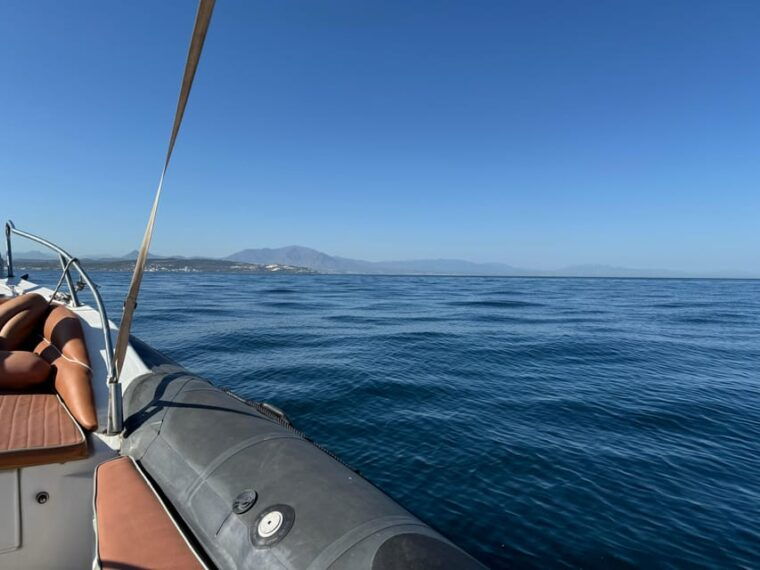 sotogrande-dolphin-watching-experience-with-expert-crew