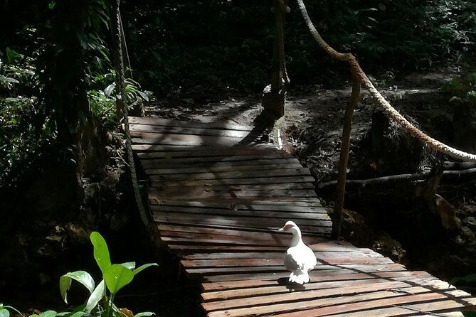 soufriere-catamaran-excursion-sapphire-falls-hike