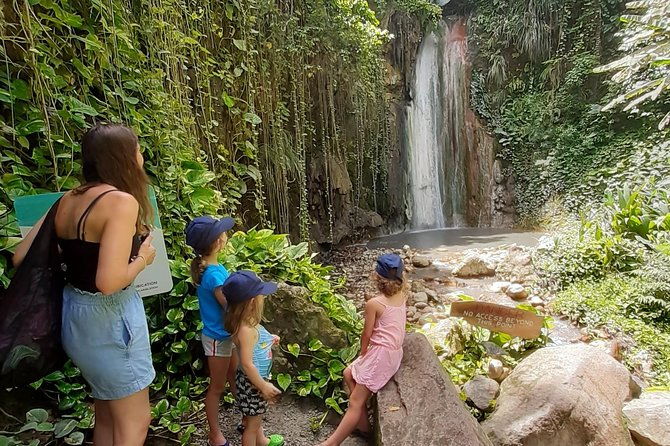 soufriere-special-day-tour