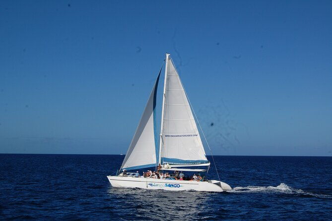 soufriere-to-rodney-bay-catamaran-transfer