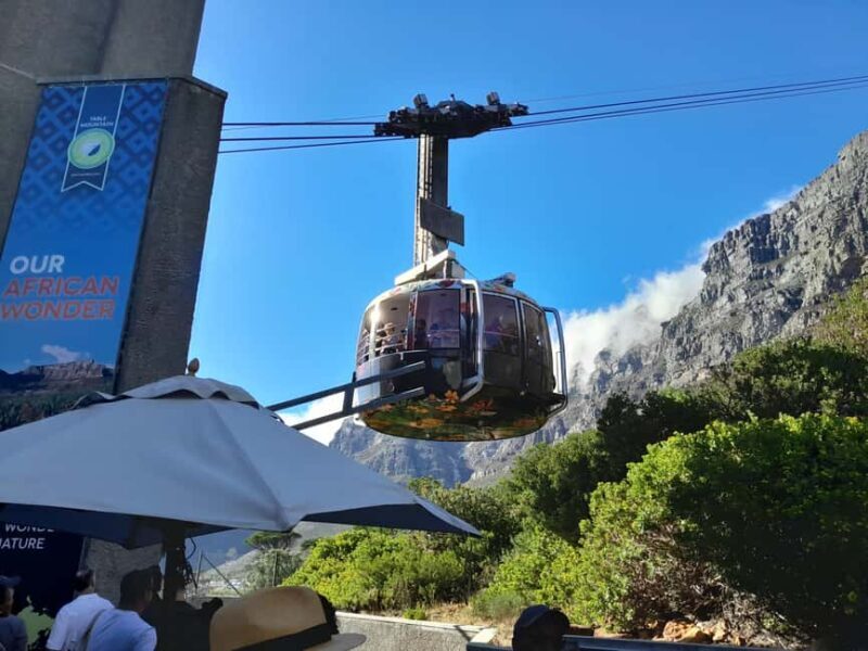 Soul of Cape Town City Tour - In-Depth Experience Breakdown
