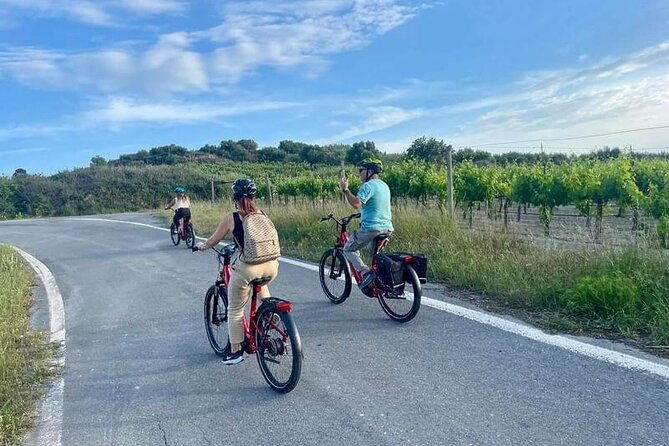 soulouksina-cultural-e-bike-experience-in-pediada-province-crete