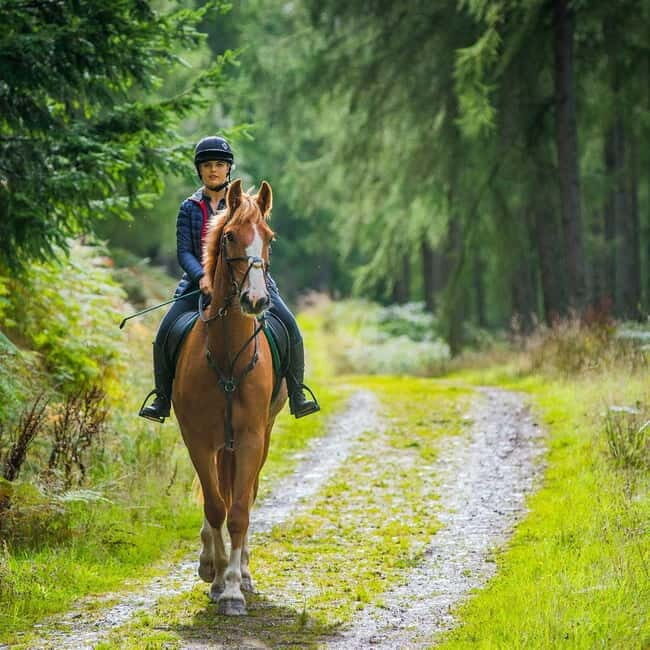 SoulRide: Horseback & Mindful Escape in Kissamos - The Itinerary: A Day in Cretes Calm
