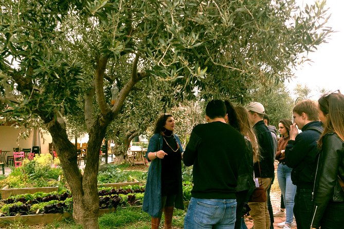 sounion-highlights-vouliagmeni-olive-farm-poseidon-temple-thorikos-theatre