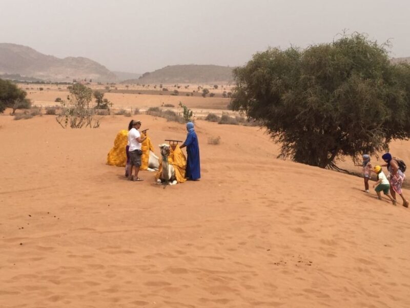 Souss-Massa National Park: Full Day Jeep Tour with Lunch - Authentic Experiences Based on Reviews
