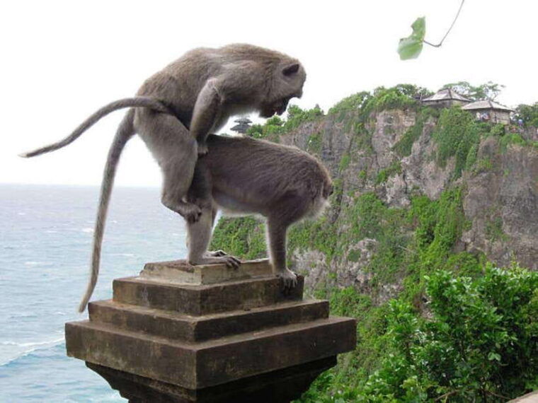 south-bali-custumized-beach-day-tour-and-sight-seeing