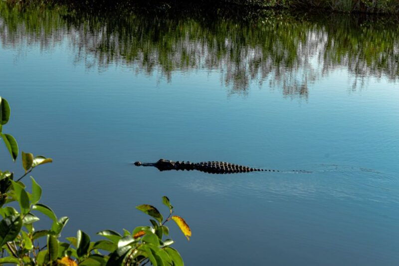 south-beach-everglades-airboat-animal-sanctuary-photo