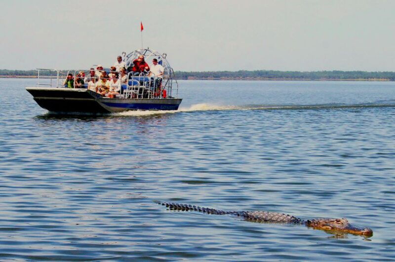 south-beach-everglades-airboat-animal-sanctuary-photo