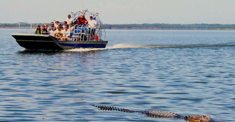 south-beach-everglades-airboat-animal-sanctuary-photo