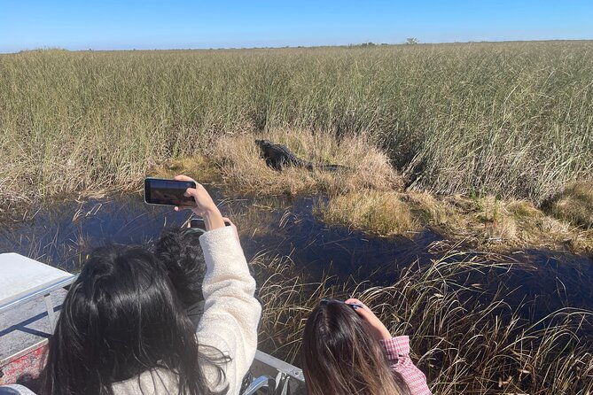 south-beach-everglades-airboat-wildlife-show-with-transfer-2