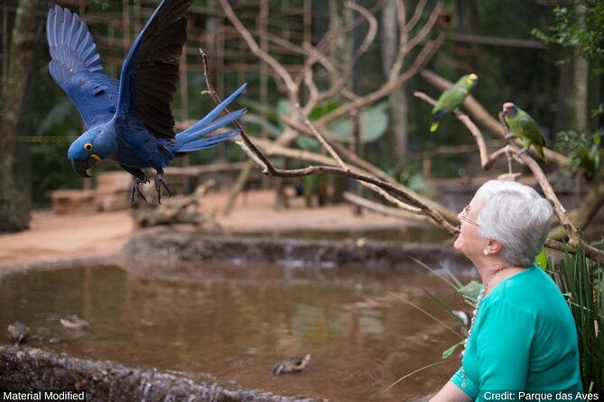 south-brazil-see-experience-it-all-in-13-days-1st-class-custom-tours