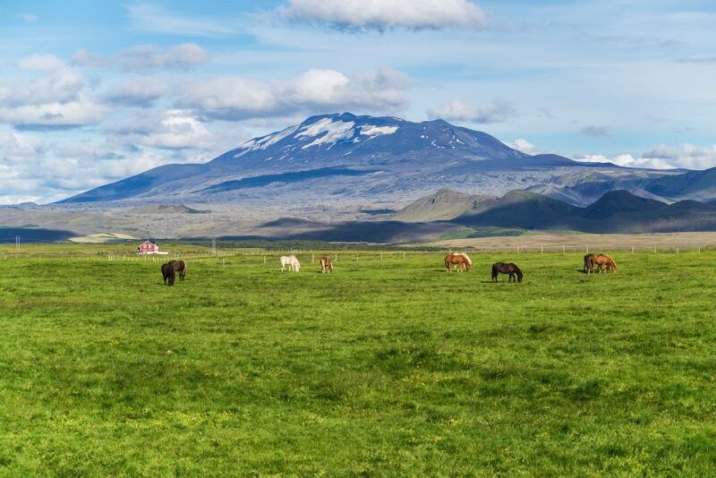 south-coast-classic-full-day-tour-from-reykjavik