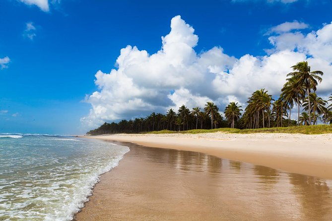 south-coast-frances-beach-with-maceio-city-tour