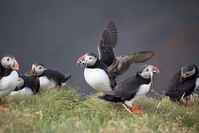 south-coast-guided-private-tour