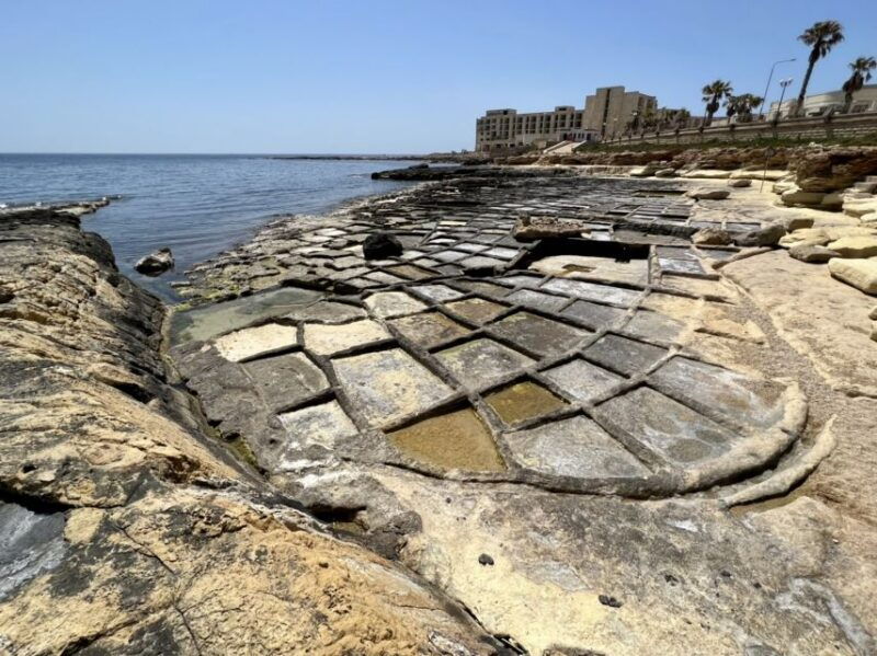 south-coast-private-nature-walking-tour-with-transport
