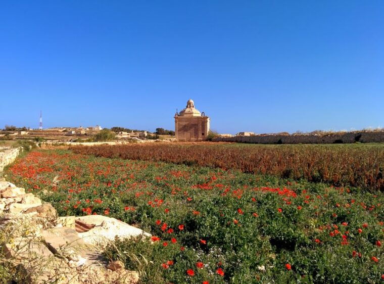 south-coast-private-nature-walking-tour-with-transport