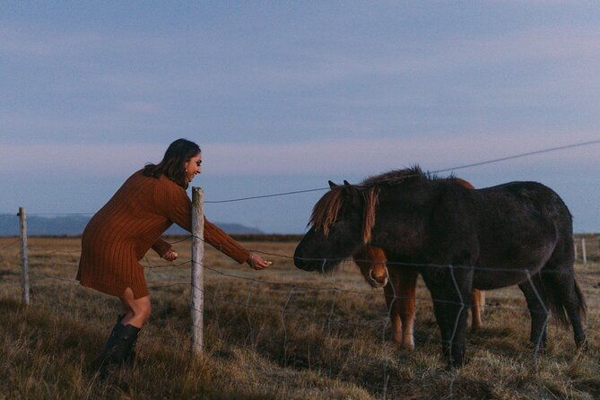 south-coast-private-tour-pro-photo-package-included