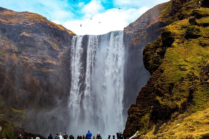 South Coast, Reynisfjara Beach & Waterfalls Small-Group Day Trip from Reykjavik - The Waterfalls: Skógafoss and Seljalandsfoss