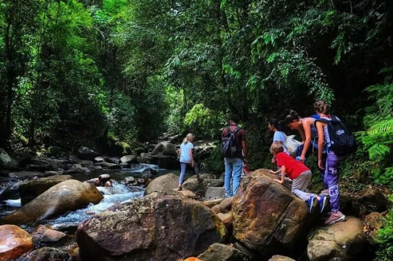 South Coast: Sinharaja Rainforest Walk and Waterfall - Key Points