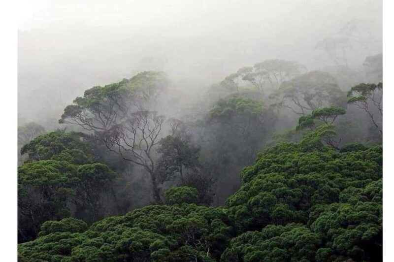 South Coast: Sinharaja Rainforest Walk and Waterfall - Final thoughts