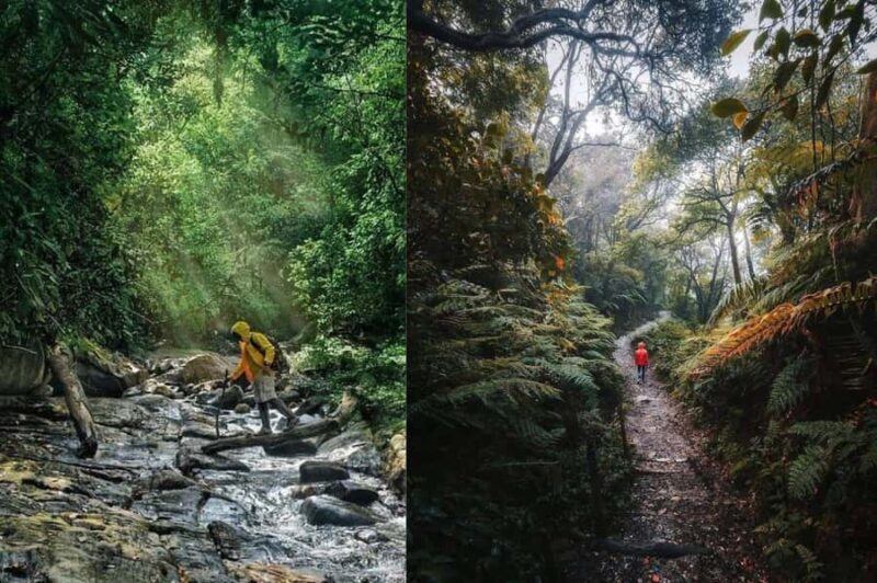 South Coast: Sinharaja Rainforest Walk and Waterfall - FAQ