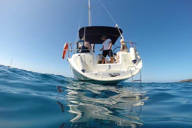 South Coast Tenerife Cruise - An In-Depth Look at the Tenerife South Coast Cruise  