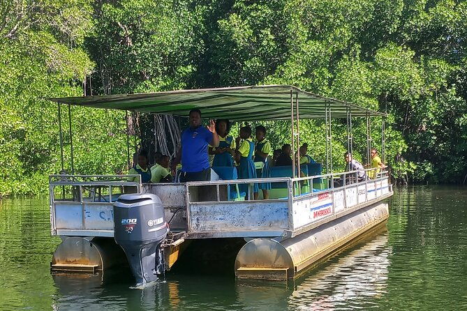south-coast-tour-to-ys-falls-black-river-safari-and-appleton-rum